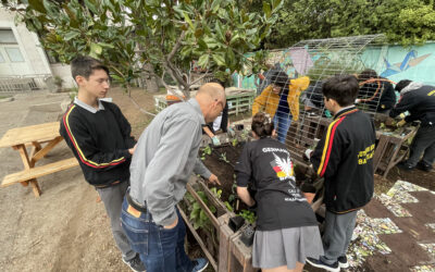 EL PROYECTO HUERTA CONTINÚA